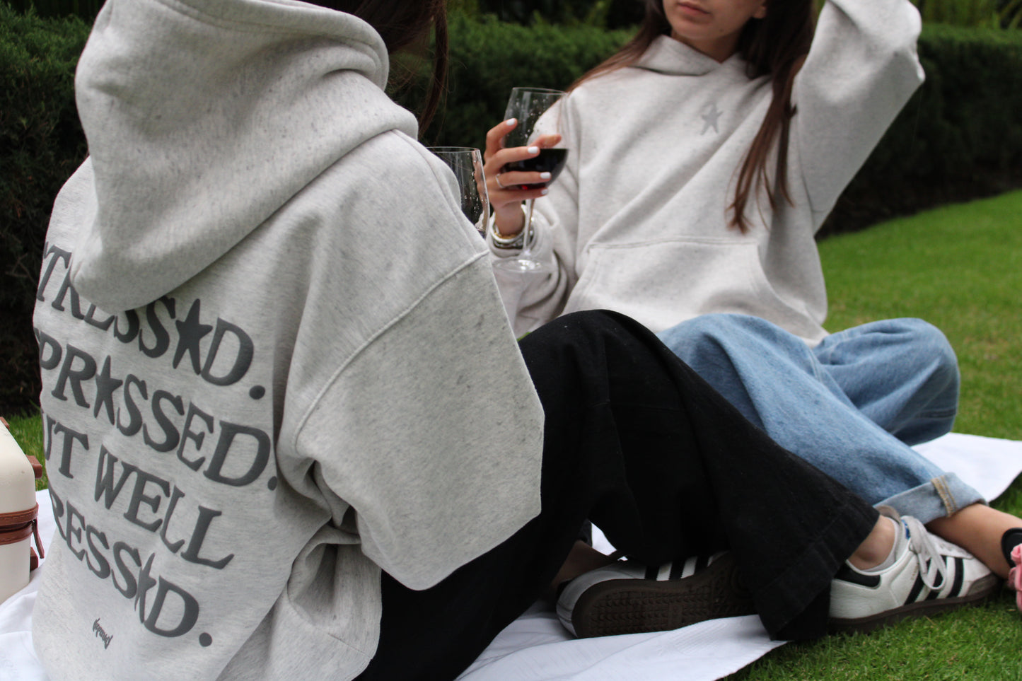 WELL DRESSED HOODIE GRIS